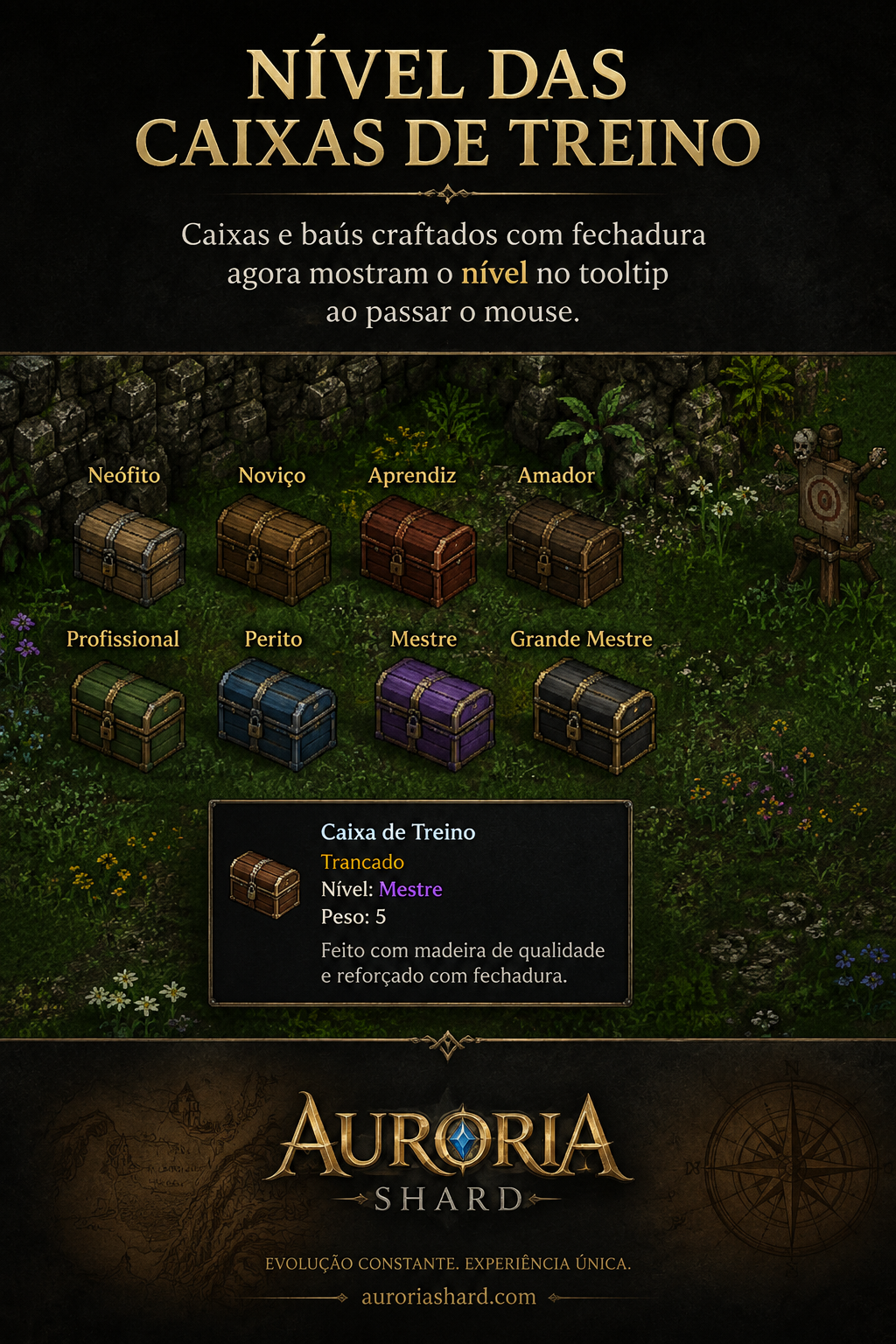 Nível das caixas de treino no tooltip